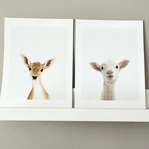 The Animal Print Shop Baby Animal Print Bundle